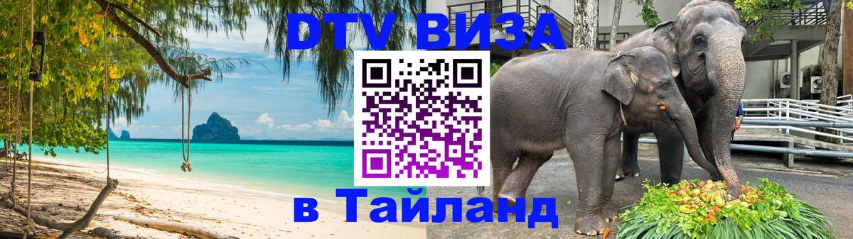 Оформление DTV визы под ключ: стоимость и тарифы, только загранпаспорт - Черкесск 